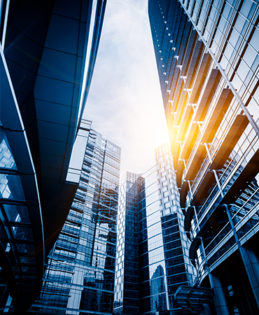 Mena Opinion Research